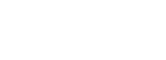The Real Wedding Show